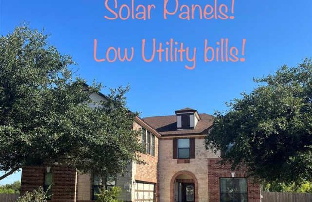 19332 Pencil Cactus Drive