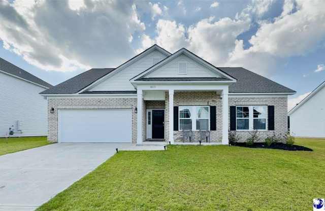 Photo of 1013 SummerDuck Loop