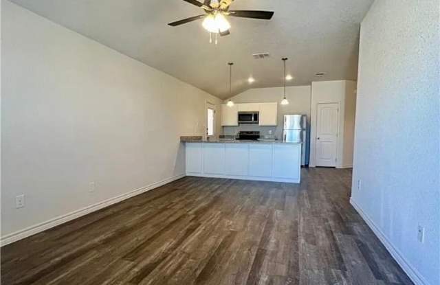 113 Dolphin Drive - 1
