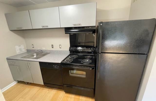 Deluxe Studio - Move In Special: $800 Security Deposit - 1921 North Main Street, Royal Oak, MI 48073