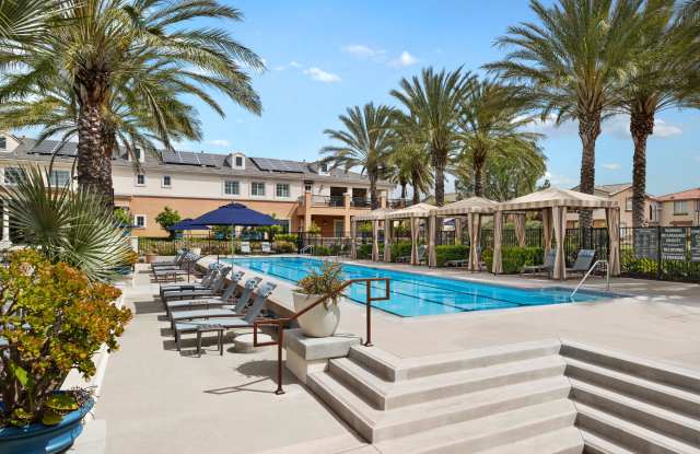 Photo of Homecoming at The Preserve