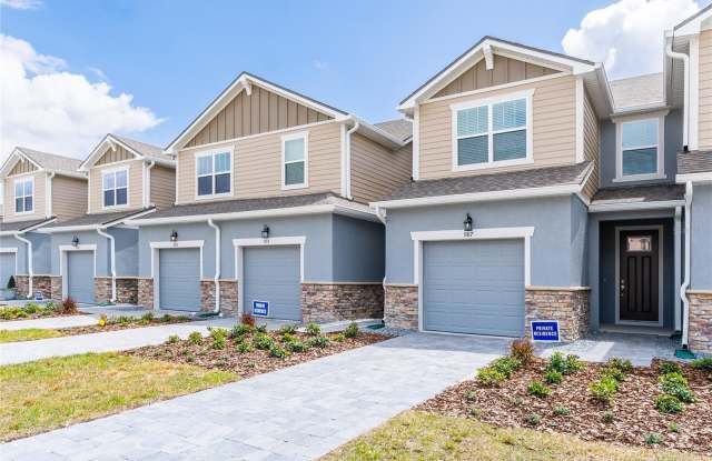 987 SPRING PALMS LOOP