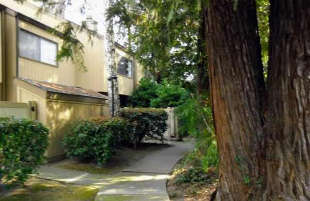 536 Woodside Oaks