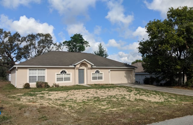 1313 Gatewood Ave - 1313 Gatewood Avenue, Spring Hill, FL 34608