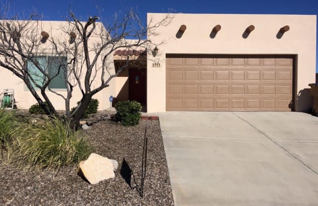 3713 Chromite Ct. - 3713 Chromite Court, Las Cruces, NM 88012