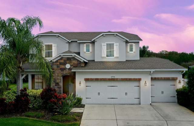 27954 WILD SIENNA LOOP