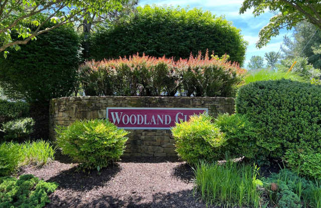 5475 OWENS WOOD COURT