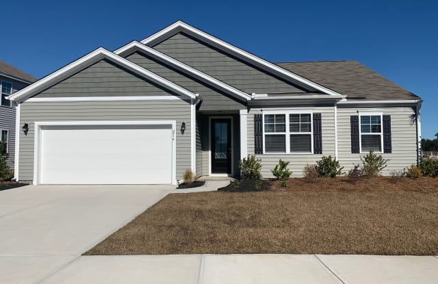 214 Mercator Dr - 214 Mercator Dr, Berkeley County, SC 29486