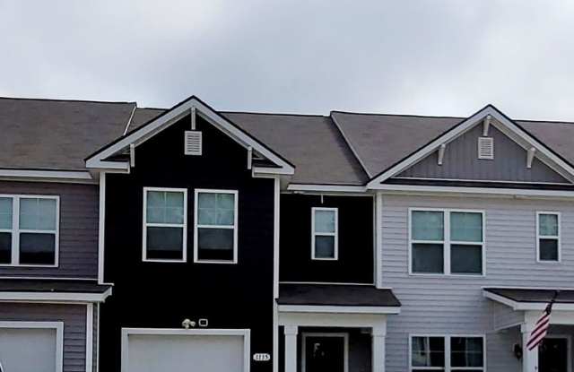 3-Bedroom, 2 1/2-Bath in Conway, SC - Long Term Rental