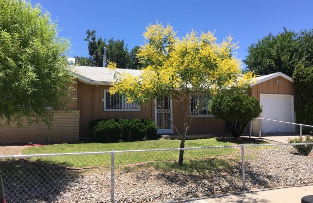 2917 Bel Air Place NE - 2917 Bel Air Place Northeast, Albuquerque, NM 87110