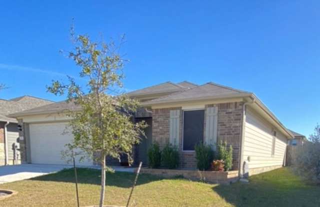 Photo of 844 Nodding Nixie