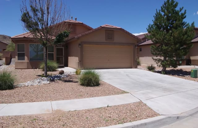 911 Purple Aster Avenue SW - 911 Purple Aster Avenue Southwest, Los Lunas, NM 87031