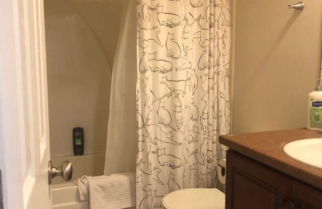 313 South Bridgeport