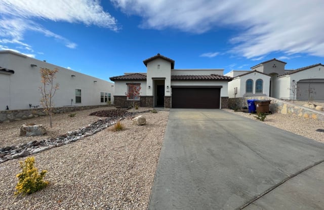 4133 Tawny Park Rd. - 4133 Tawny Park Road, Las Cruces, NM 88011