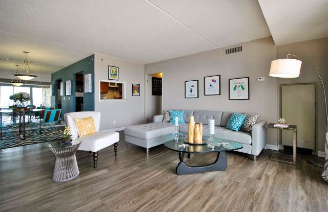 Photo of The Millie on Brush