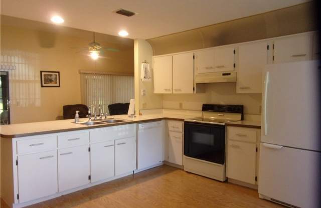 624 W Diamondbird Loop