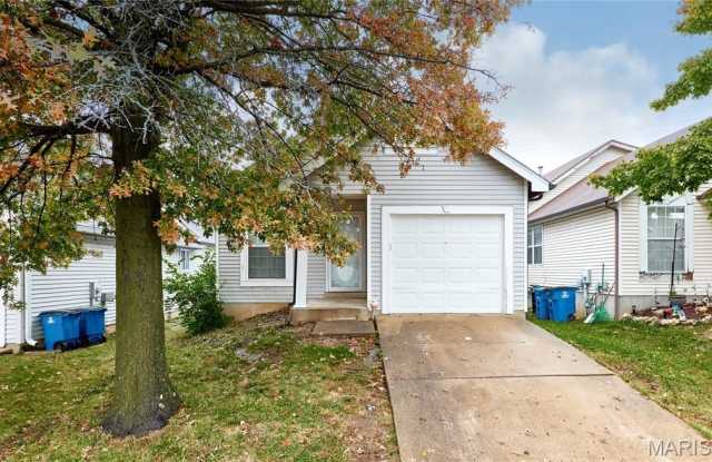 12041 Victorian Village Court