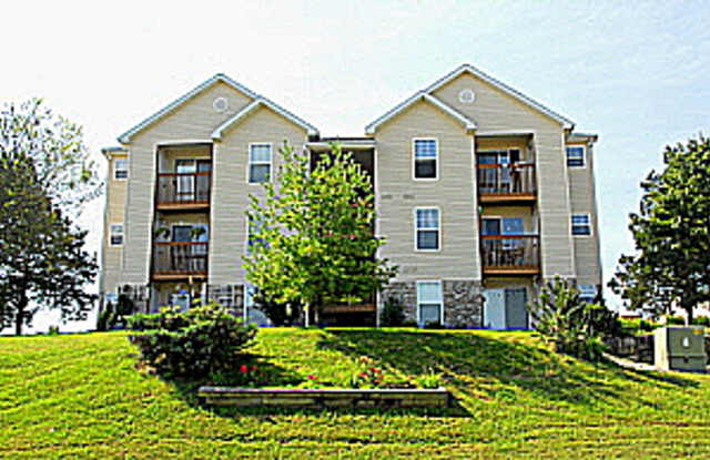 Renovated Nice Garden Level 2 bedroom 2 Bath Apartment near Branson Hills