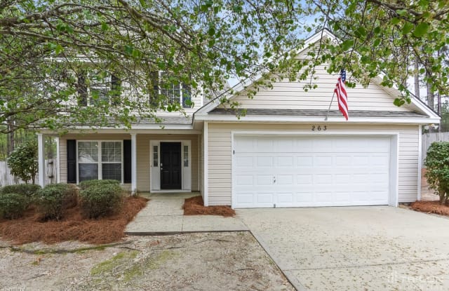 263 Siddington Way - 263 Siddington Way, Lexington County, SC 29073