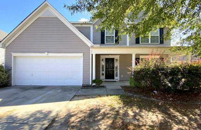 816 Wing Stripe Court - 816 Wing Stripe Court, Richland County, SC 29229