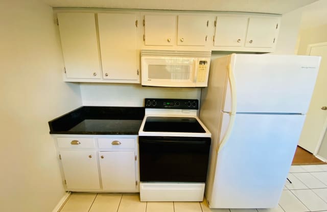 100 Du Rhu DriveUnit F