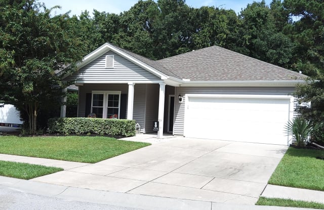 3956 Percheron Drive - 3956 Percheron Drive, Charleston County, SC 29429