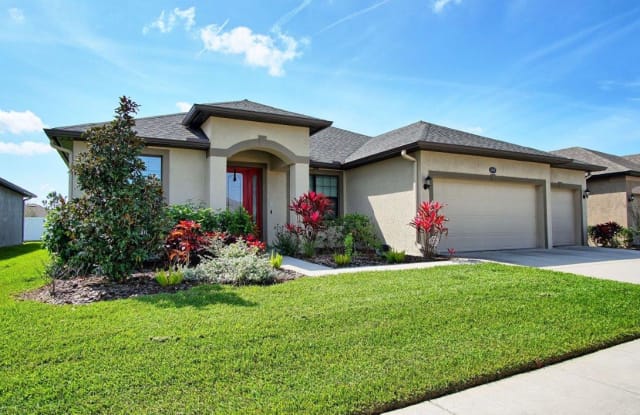 11619 Iris Spring Court - 11619 Iris Spring Court, Riverview, FL 33579