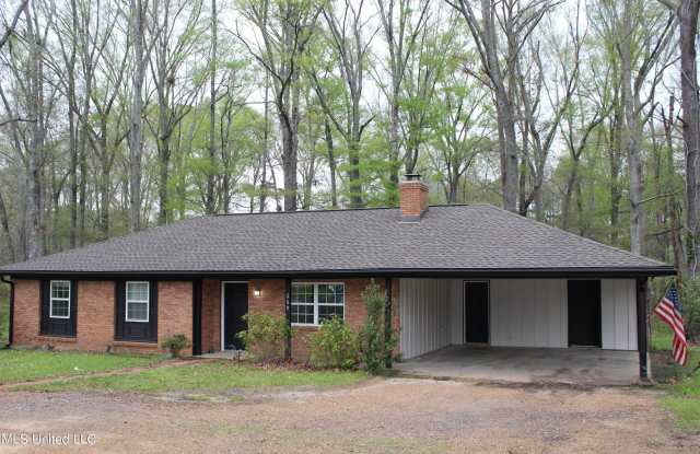 269 Baker Lane - 269 Baker Lane, Rankin County, MS 39047