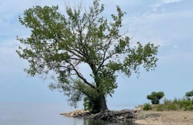 3716 Lake Shore Drive East