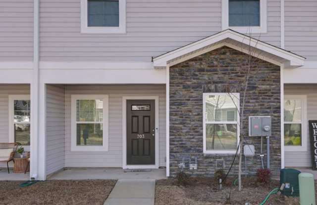 Charming  Energy-Efficient 3-Bedroom Home for Rent – 703 Wild Duck Lane