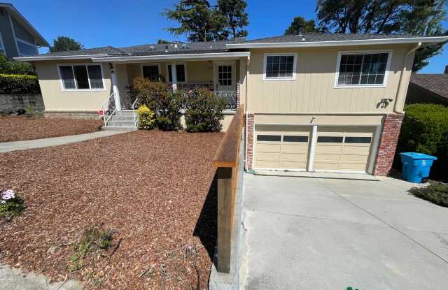 Large 4 Bedroom Home in Great Location in San Mateo, Beautiful Area, Large Lot photos photos