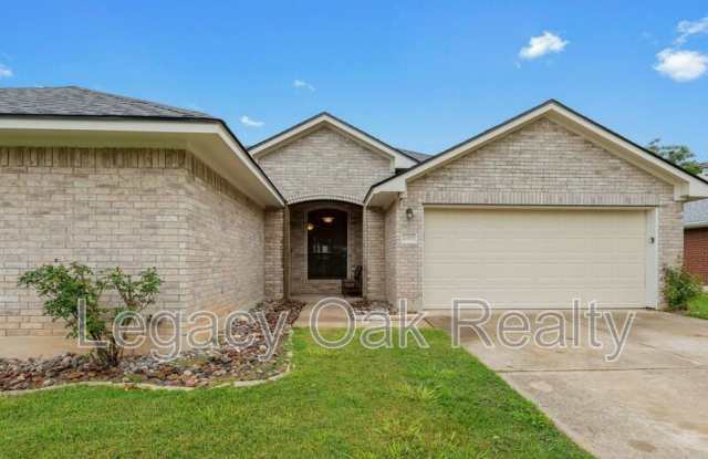 2419 Chestnut Path - 2419 Chestnut Path, Round Rock, TX 78664