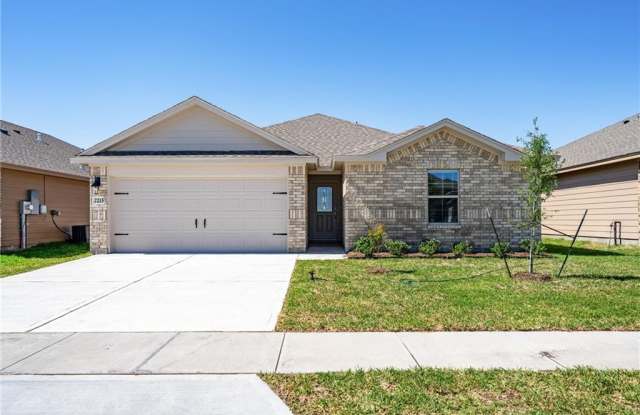 2215 Medusa Dr - 2215 Medusa Drive, San Patricio County, TX 78390