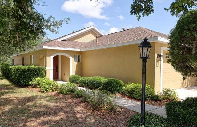 6258 BLUE RUNNER COURT