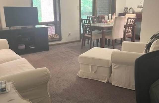 23250 CHESTNUT OAK COURT