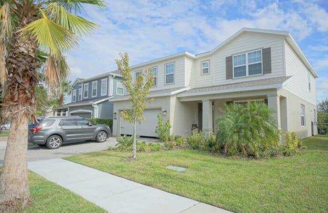 11313 Emerald Shore Drive - 11313 Emerald Shore Drive, Riverview, FL 33579