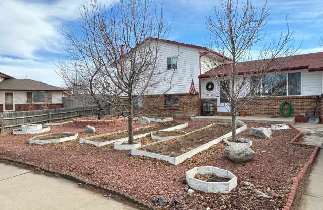 Cute 3 Bedroom house in Windsor
