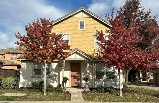 Photo of Patterson Stunner