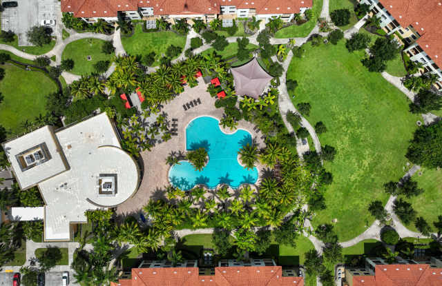 Photo of 10X Sawgrass
