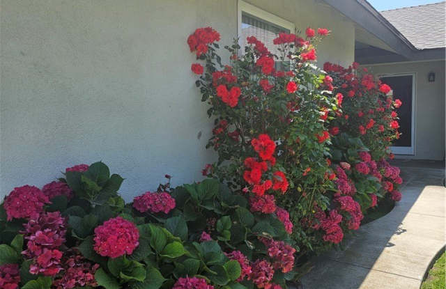 16337 Hemlock Street