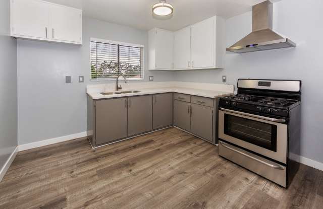 Great Find! Won't Last ~ Newly Renovated 1Bedroom / 1-Bath **$1,650**