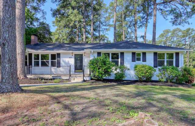 6081 Woodvine Rd - 6081 Woodvine Road, Richland County, SC 29206