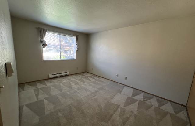 17419 119th Ln SE Apt E20