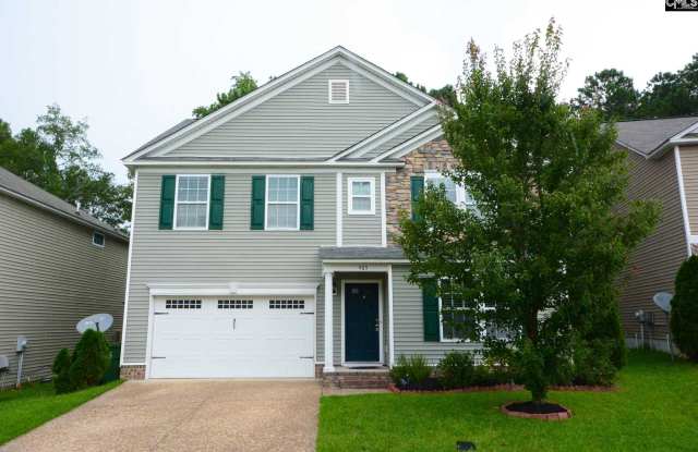 465 Denman Loop - 465 Denman Loop, Richland County, SC 29229