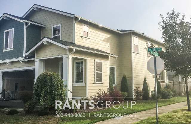 Spacious and bright 4 bd/ 2.5 bath home in The Preserve available mid-April!