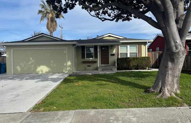 Santa Clara 4 Bedrooms 2 Bath Home Recently Remodeled. Ideal Location!!!