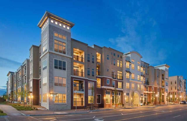 Photo of AMLI RidgeGate