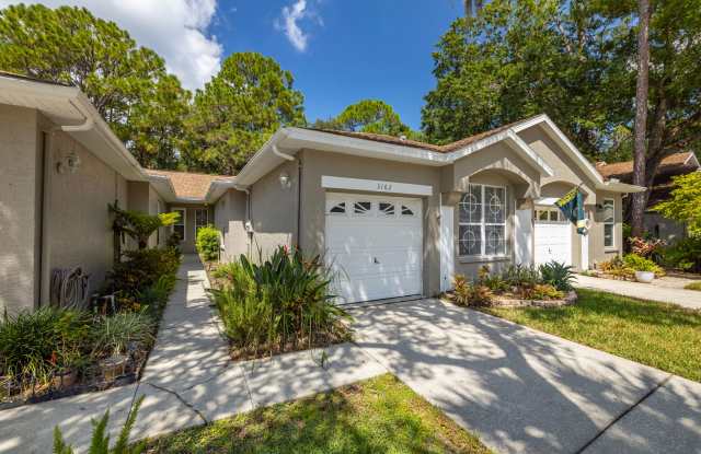 3162 Brooker Creek Way