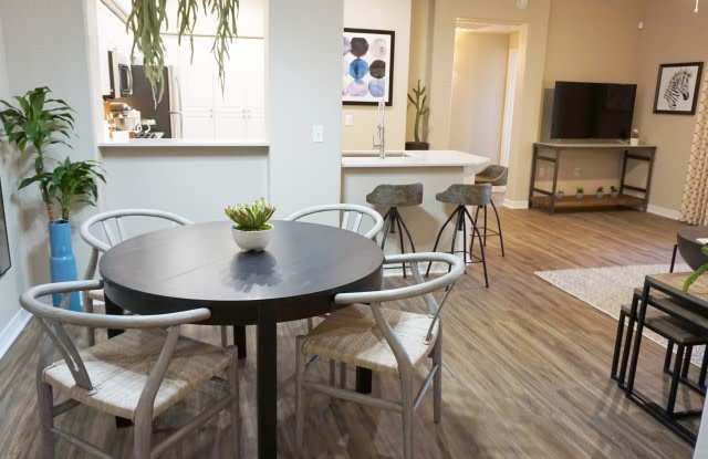 Photo of SanTan by Baron