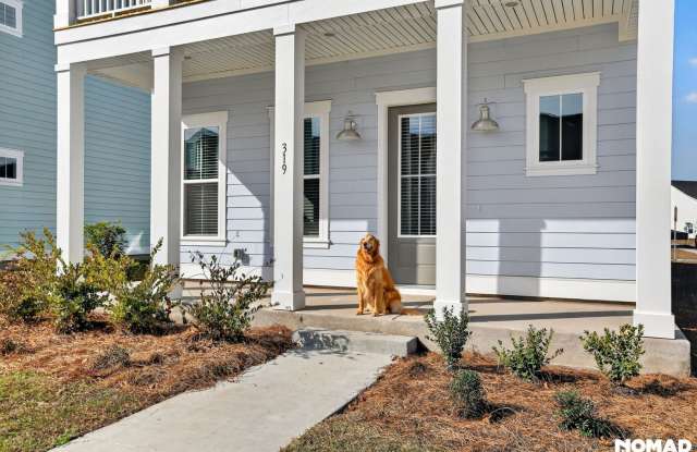 Brand New 4BR Home in Summerville’s Premier Community – Resort Amenities  Pet Friendly!